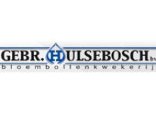 Hulsebosch
