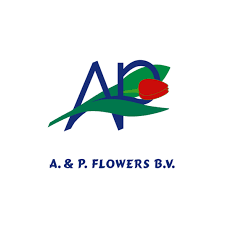 aenp flowers
