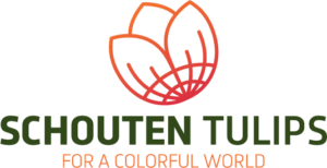 schouten tulips logo