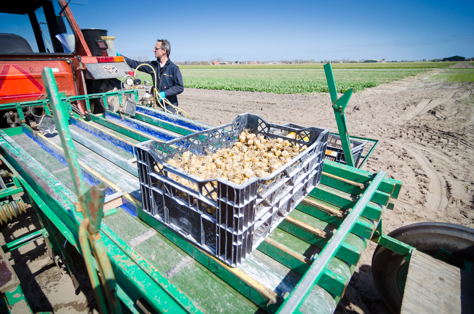 Garnalendoppen bij teelt aardappelen